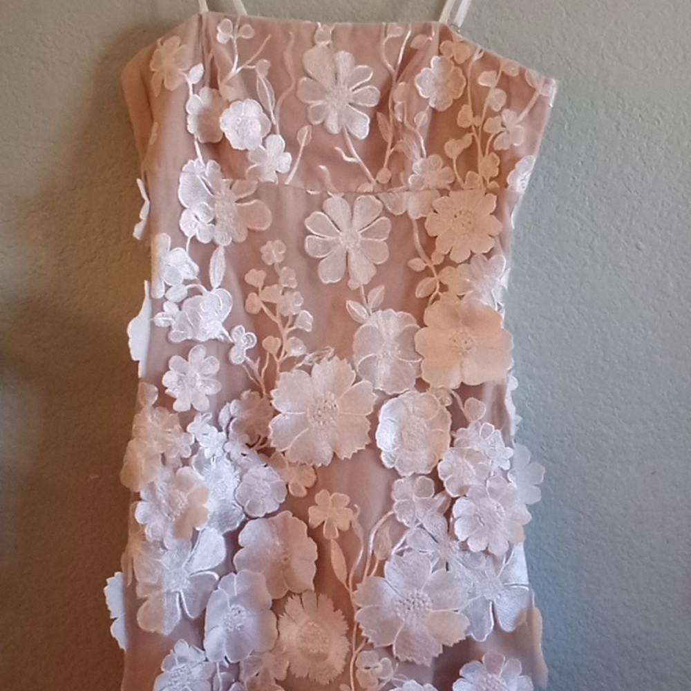 Storia 3D Floral Applique White Lace Nude Sheer Bohemian Cottagecore Dress S - Picture 3 of 5
